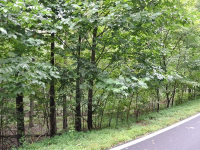 3461 Wild Pansy Rdg Lot 3461, Jasper, GA, 30143