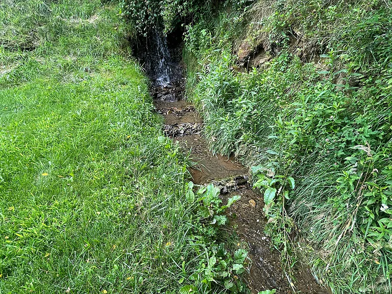 Little Elk Rd — Photo 19