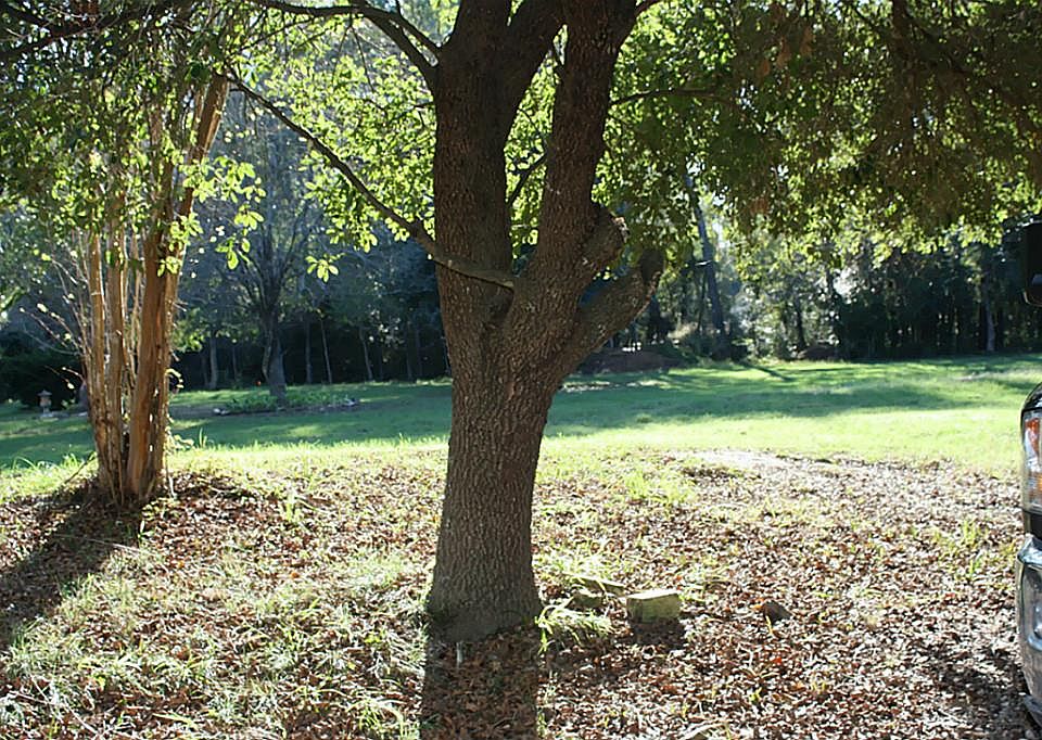 2nd image of 26 Creek Forest Ln