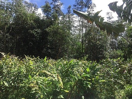 1st image of 10 Road Poouli
