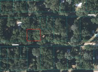 2809 NE 161st Pl, Citra, FL 32113