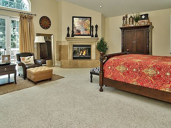 Master Bedroom w/ Fire Place