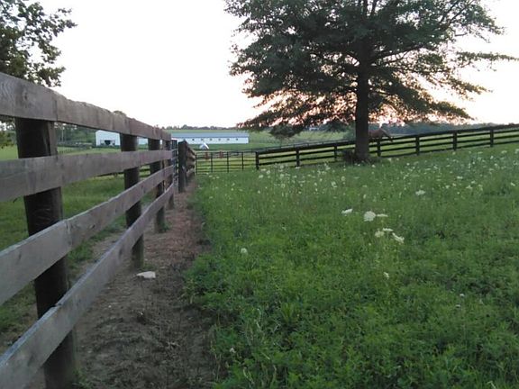 Lovely pastoral views