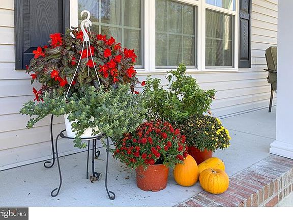 2nd image of 17166 Phillips Hill Rd