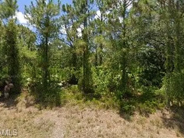 1917 Canton AVE, LEHIGH ACRES, FL 33972