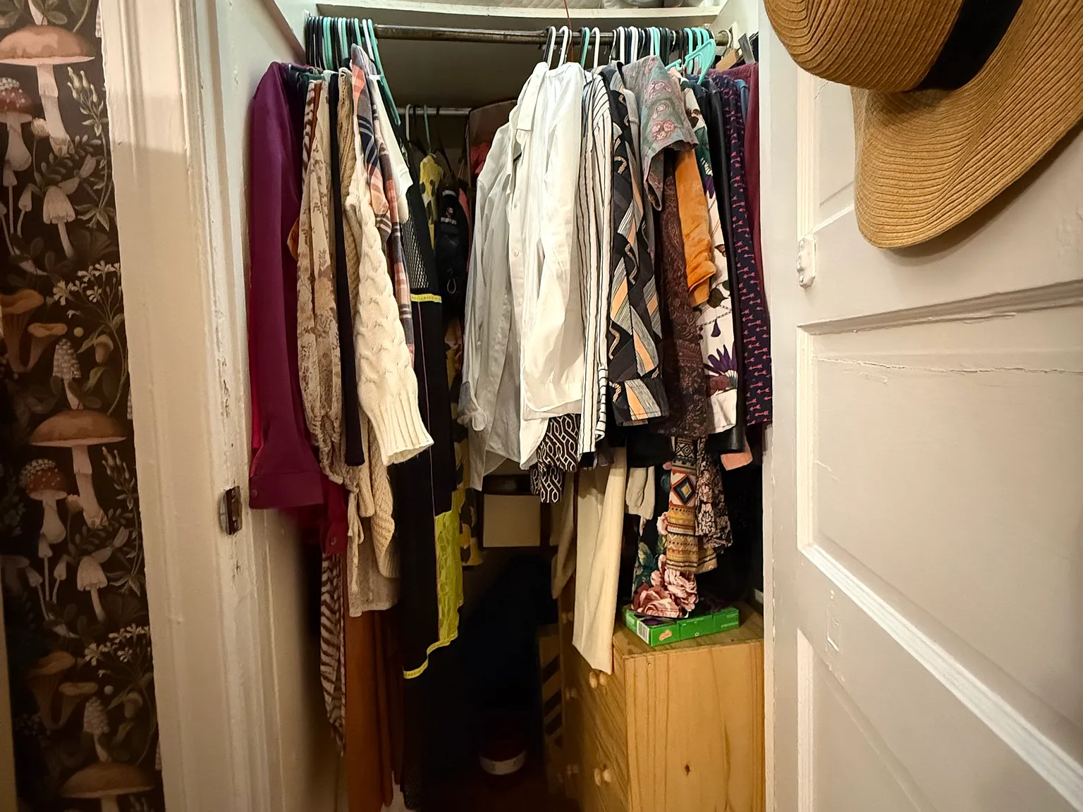 1 bed, $1,250 — Photo 4