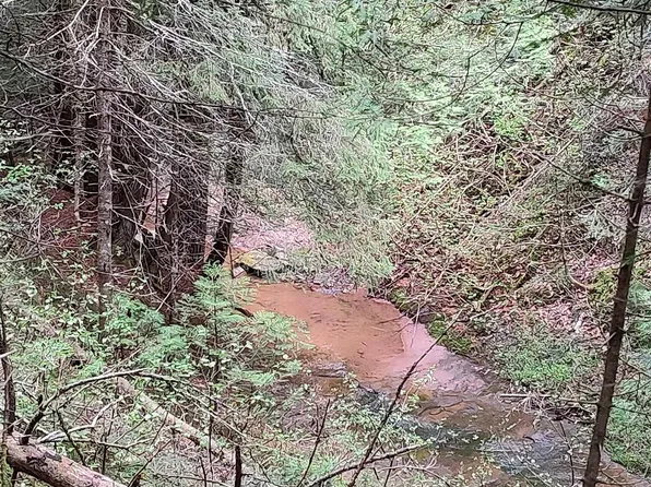 Tbd Victoria Dam Rd, Rockland, MI 49960