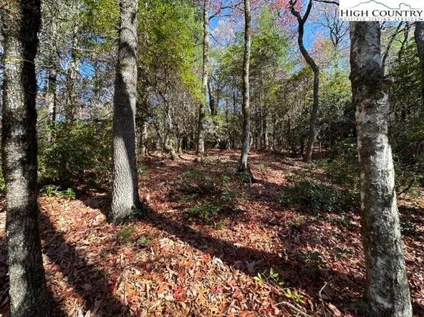 Lot 32 Thoreau Court, West Jefferson, NC 28694