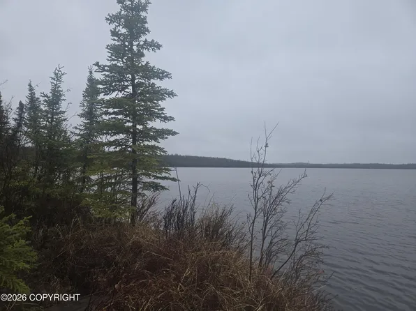 Mile 5 Tolsona Lake Rd, Glennallen, AK 99588