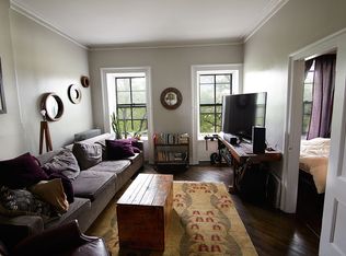 313 Adelphi St #3, Brooklyn, NY 11205