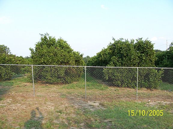 back yard