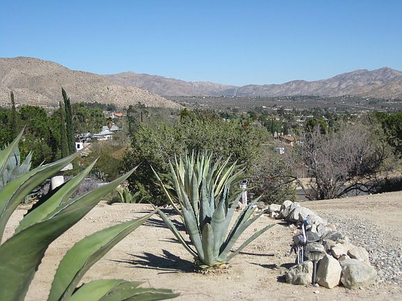 view from front patio
