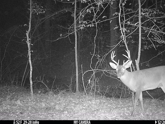 2nd image of 3107 Smith Sims Rd #3107