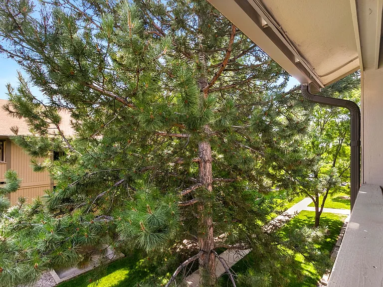 710 City Park Ave #D431 — Photo 2