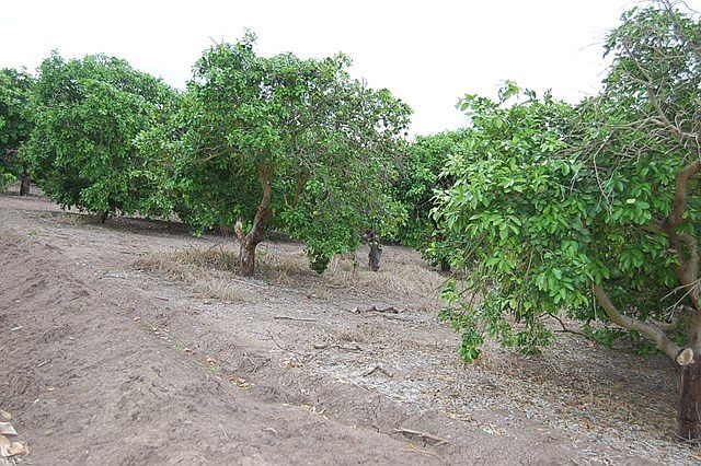 2nd image of 67 E Resaca Dr