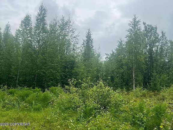 3rd image of 4764 S Horseshoe Lake Rd