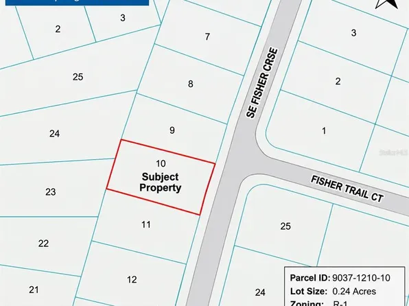 SE FISHER COURSE LOT 10, OCKLAWAHA, FL 32179