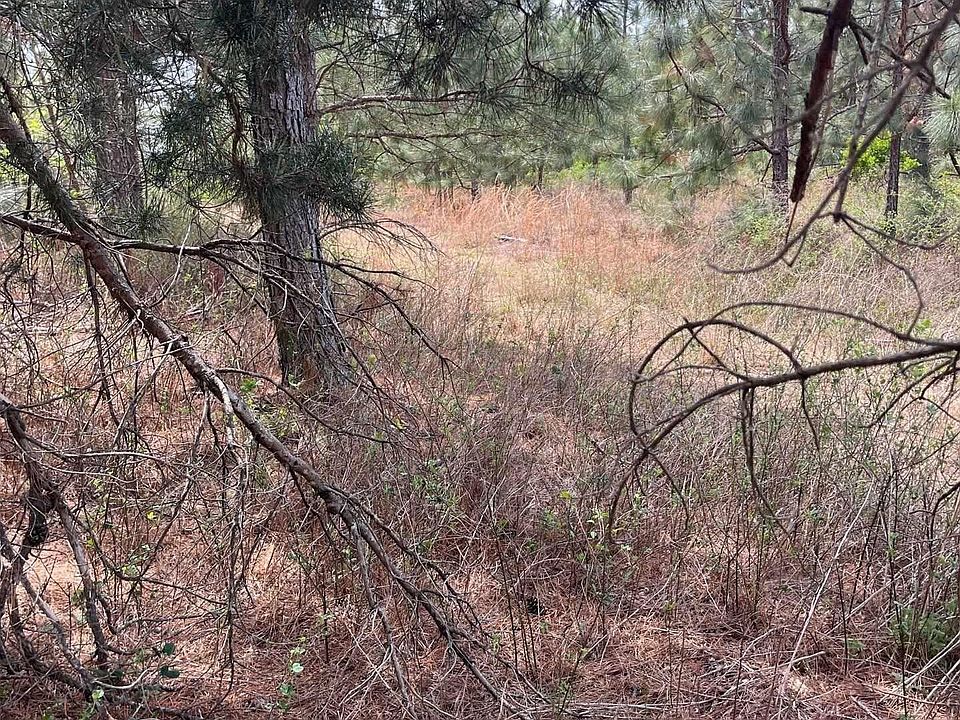 1st image of Bdf 7 Beaverdam Rd #Bdf-7