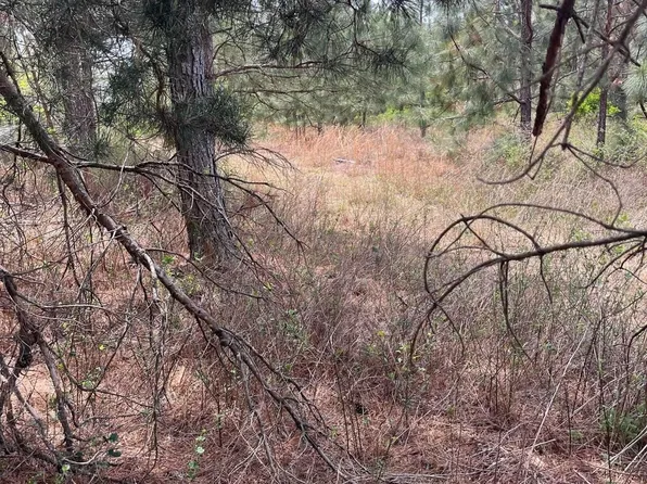 Bdf 7 Beaverdam Rd #Bdf-7, Cassatt, SC 29032