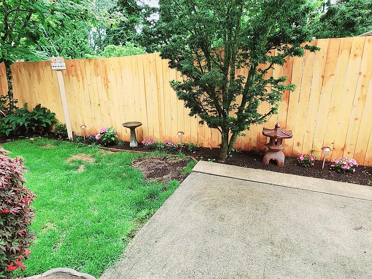 Backyard_5