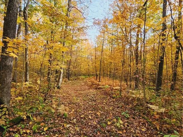 XXX 300th Avenue County Road W, Frederic, WI 54837