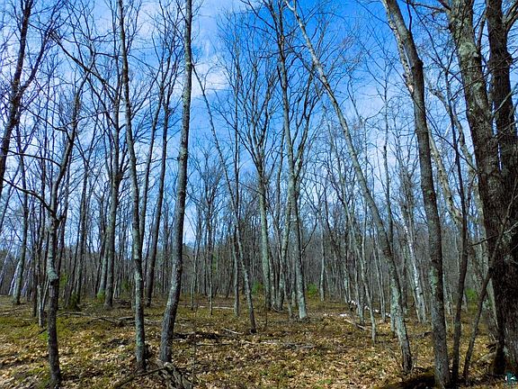 5th image of XXXX Polkoski Way Lot 3 (9.43 acres) CSM 2307