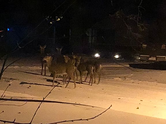 View from front window.