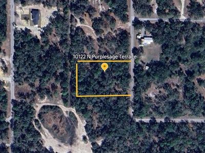 10122 N Purplesage Ter LOT 6, Crystal River, FL, 34428