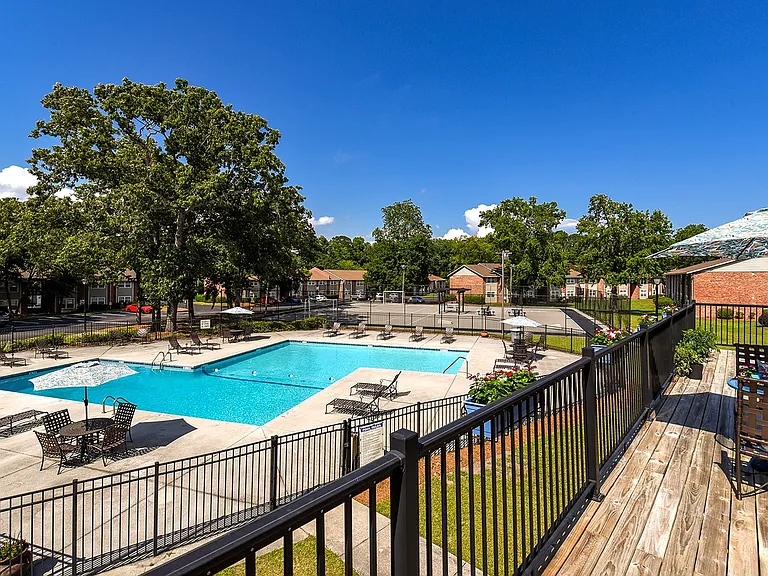 Sparkling Pool & Activity Area