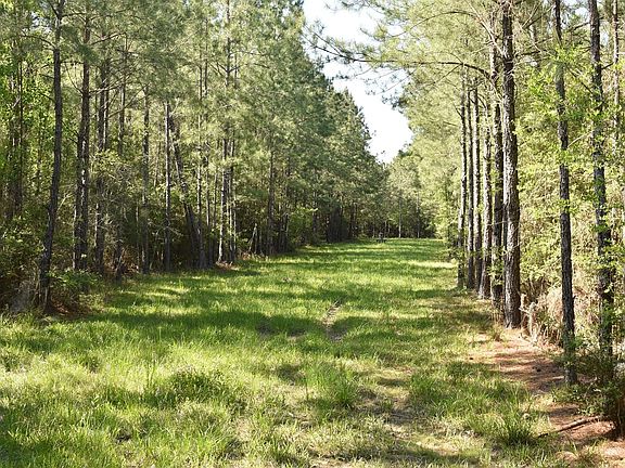 5th image of Oceola Rd