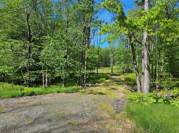 Lot 61 Cushetunk Drive, Cochecton, NY 12726