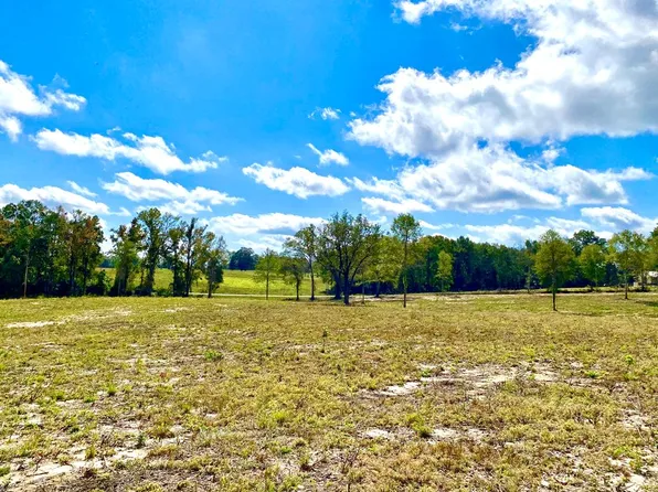 LOT 7 McNeil Henleyfield Rd, Carriere, MS 39426