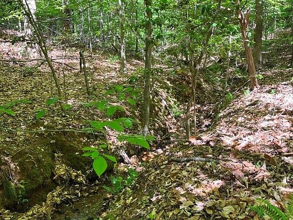 3rd image of 0 Tin Mine Rd #1