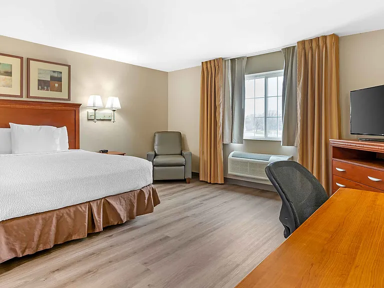 Studio Suite - 1 Queen Bed