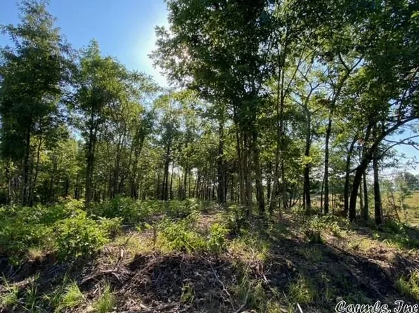 TRACT 2 W Highway 88, Oden, AR 71961
