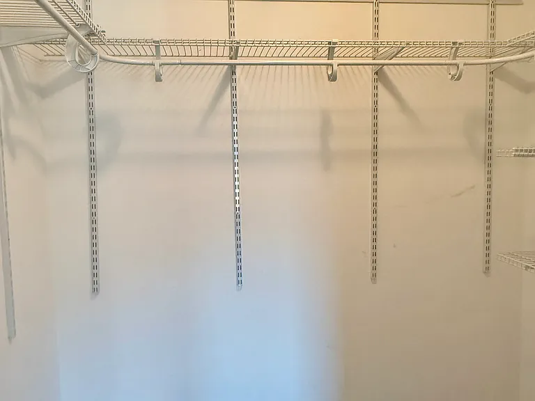 Master walk-in-closet