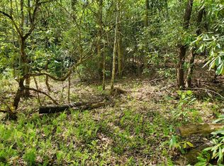 5 Lighthorse Rd, Otto, NC 28763