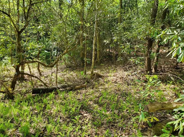 5 Lighthorse Rd, Otto, NC 28763