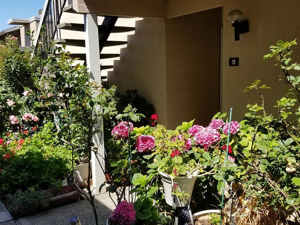 1st image of 3722 W Benjamin Holt Dr APT 9