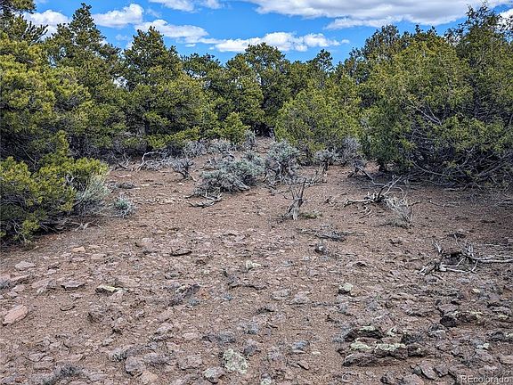2nd image of 36.25 Acres Black Tail Court