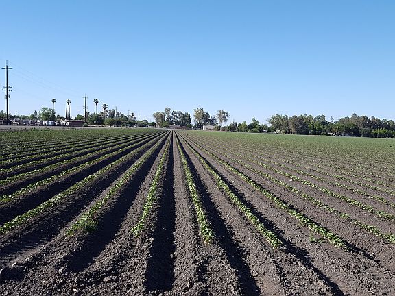 2nd image of 0 Highway 33