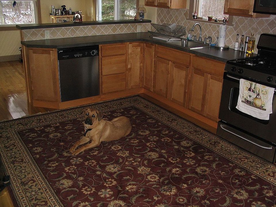 dog not included