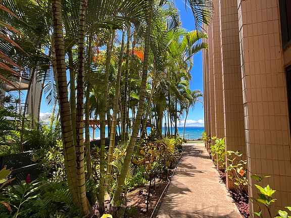This photo is just around the corner from the unit. Just a short walk to the ocean view. The beach is down the stairs to the left. __________