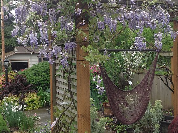 Front yard pergola