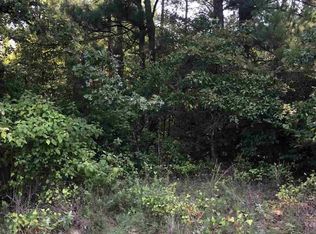 Lots 18, Pittsburg, TX 75686