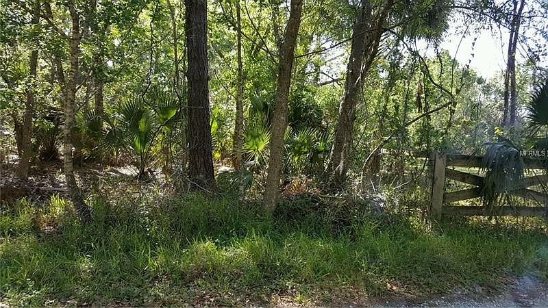 2nd image of 917 River Edge Ct