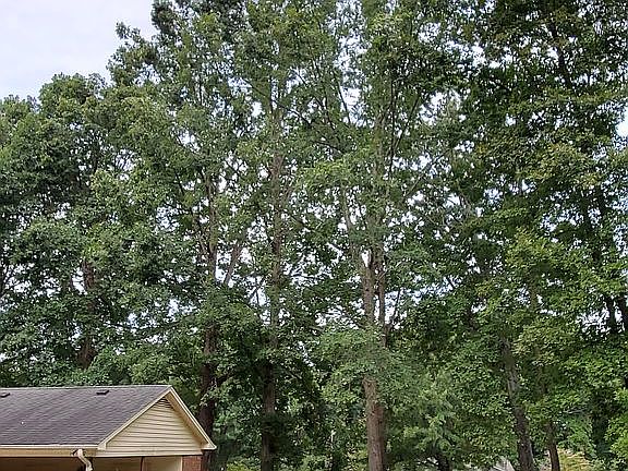 2nd image of 5302 Hiddenbrook Dr