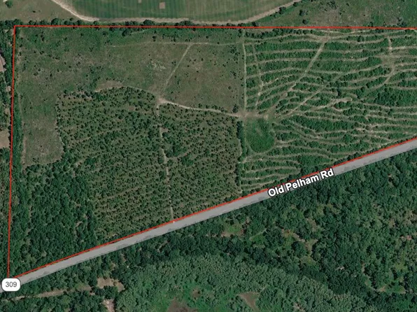 0 Old Pelham Rd, Climax, GA 39834