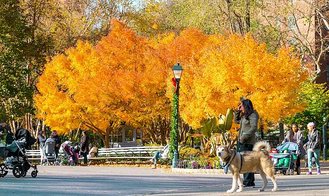 Rented by Beam Living | media 32