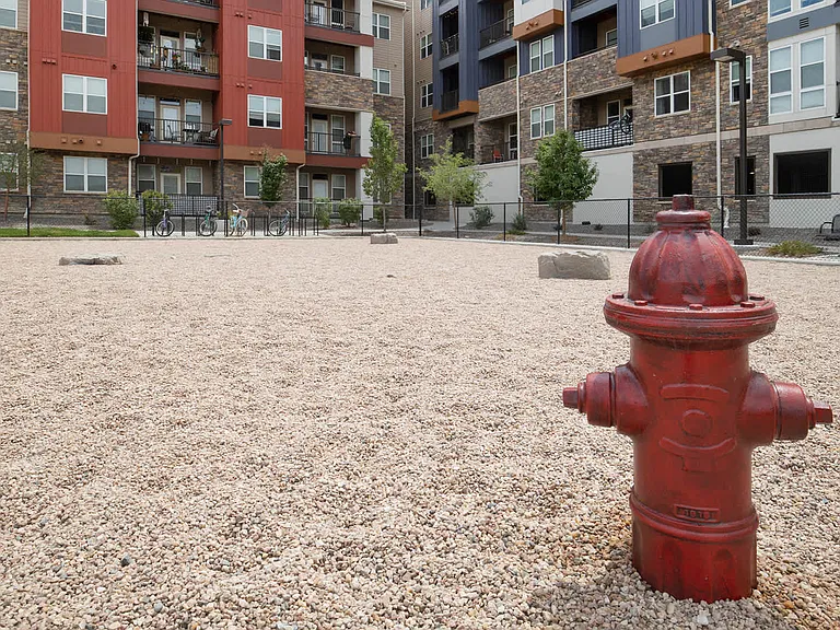 On-Site Dog Park